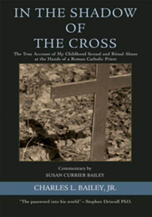 Cover of the book In the Shadow of the Cross by Charles L. Bailey Jr., iUniverse