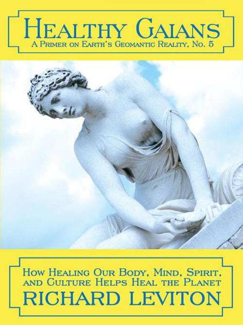 Cover of the book Healthy Gaians by Richard Levitón, iUniverse