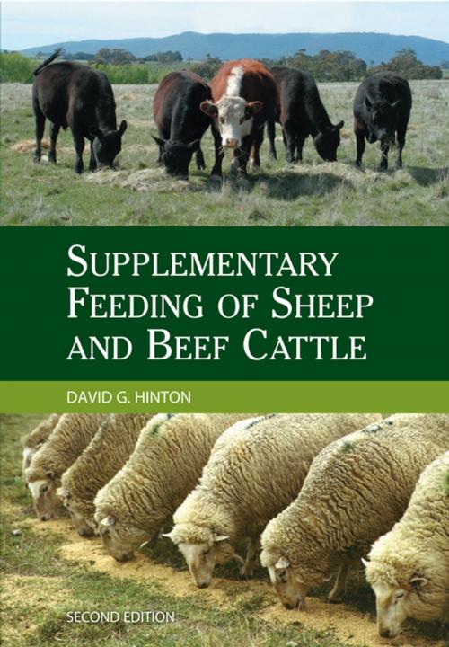 Cover of the book Supplementary Feeding of Sheep and Beef Cattle by David G Hinton, Landlinks Press