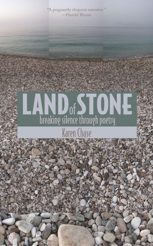 Cover of the book Land of Stone by Karen Chase, Wayne State University Press