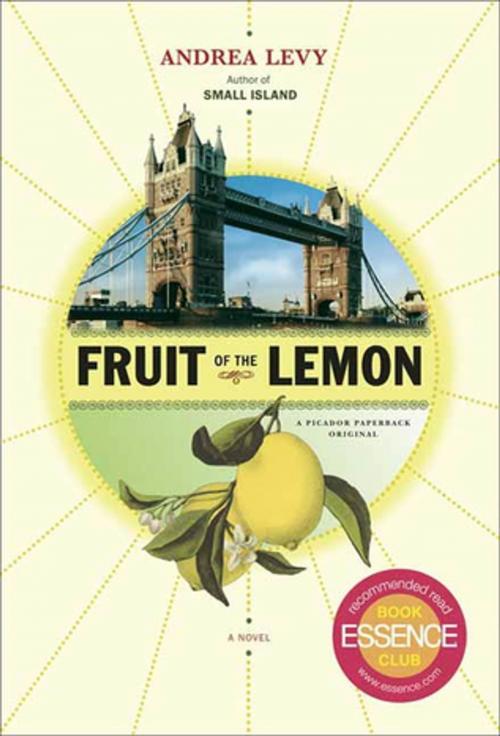 Cover of the book Fruit of the Lemon by Andrea Levy, Picador