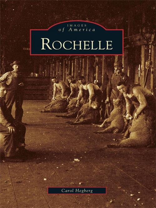 Cover of the book Rochelle by Carol Hegberg, Arcadia Publishing Inc.