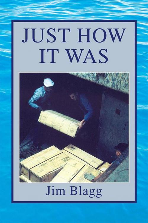 Cover of the book Just How It Was by Jim Blagg, Xlibris US