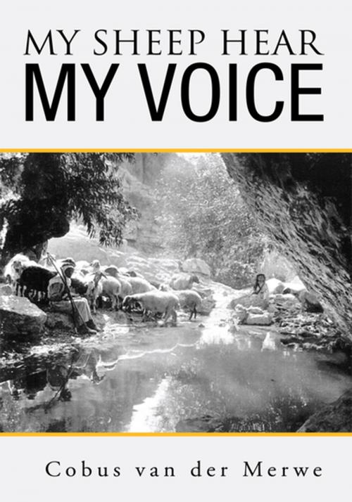 Cover of the book My Sheep Hear My Voice by Cobus van der Merwe, Xlibris US