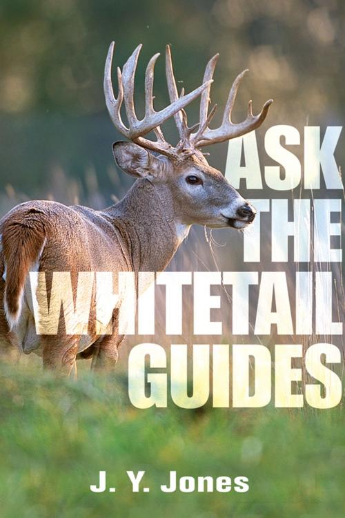 Cover of the book Ask the Whitetail Guides by J. Y. Jones, Safari Press
