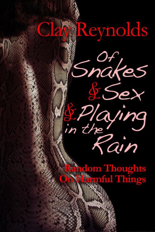 Cover of the book Of Snakes and Sex and Playing in the Rain by Clay Reynolds, Baen Books