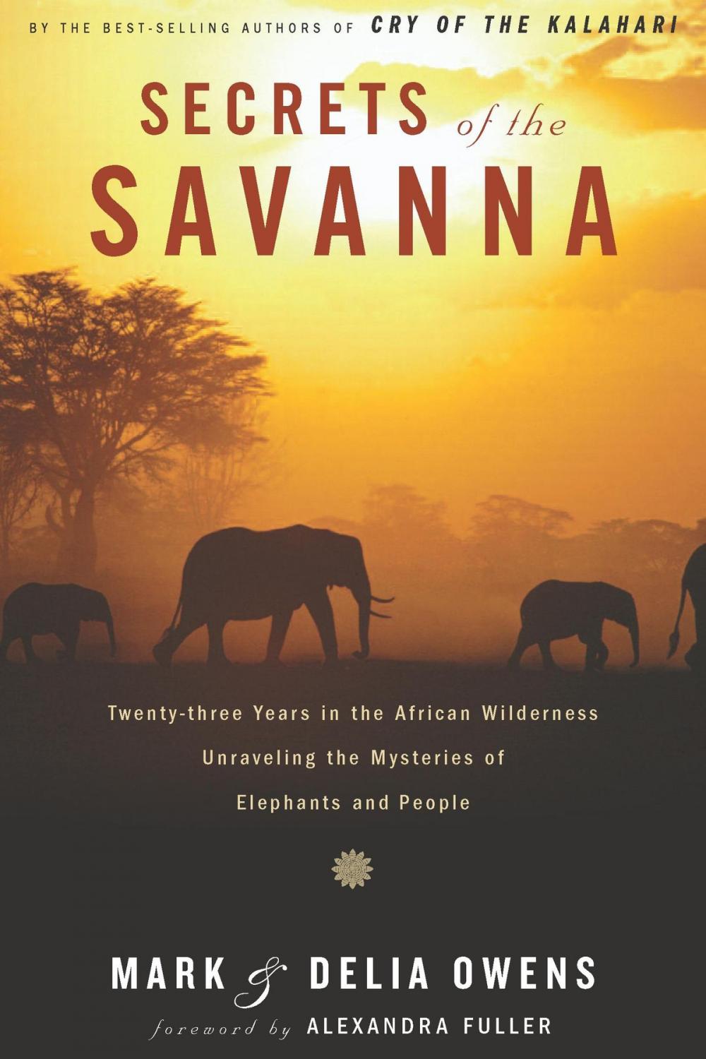Big bigCover of Secrets of the Savanna