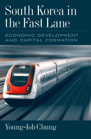 Cover of the book South Korea in the Fast Lane by Simon May