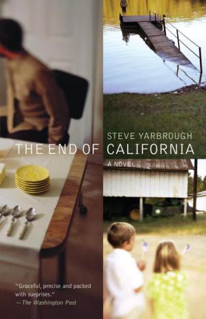 Cover of the book The End of California by Stefan Hertmans