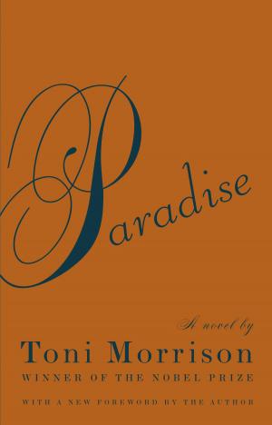 Cover of the book Paradise by Anita Brookner