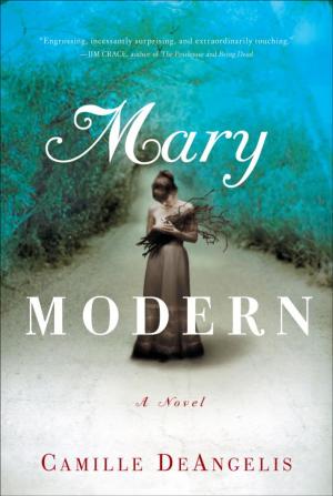 Cover of the book Mary Modern by Massimo Maffezzoli