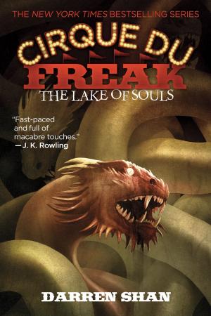 Book cover of Cirque Du Freak #10: The Lake of Souls