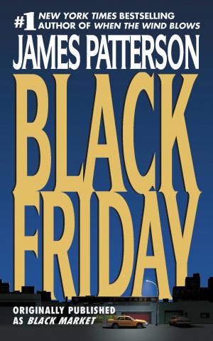 bigCover of the book Black Friday by 