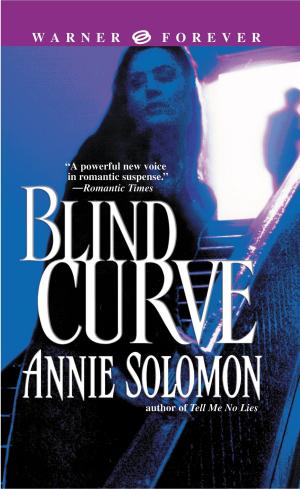 Cover of the book Blind Curve by Liz Maverick