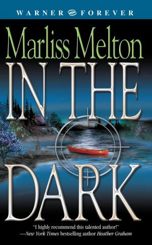 Cover of the book In the Dark by Tiffany Snow