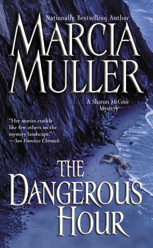 Book cover of The Dangerous Hour