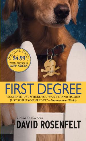 bigCover of the book First Degree by 