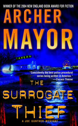 Cover of The Surrogate Thief