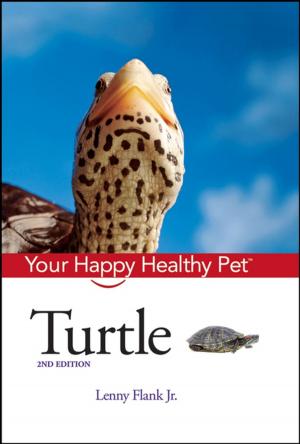 Cover of the book Turtle by Eve Eschner Hogan