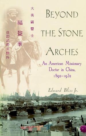 Cover of the book Beyond the Stone Arches by Wallace Sife, Ph.D.