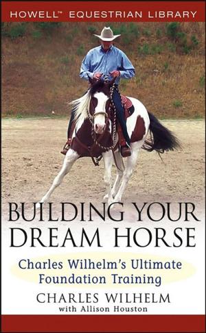 Cover of the book Building Your Dream Horse by Martha Beveridge, MSSW