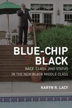 Cover of the book Blue-Chip Black by Yi-Li Wu