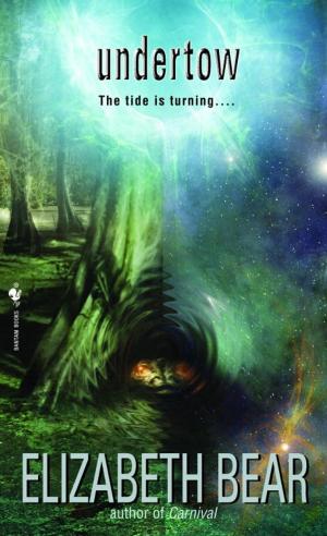 Cover of the book Undertow by Clare Naylor