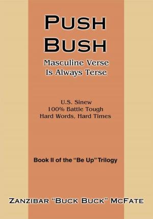 Cover of the book Push Bush by Donald Patrick Redheffer