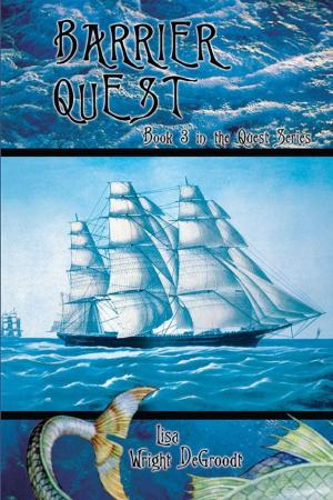 Cover of the book Barrier Quest by Jeanne S. Silvers