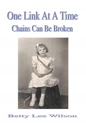 Cover of the book One Link at a Time by Madonna Dries Christensen