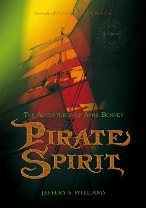 Book cover of Pirate Spirit