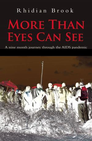 Cover of the book More Than Eyes Can See by Josh Sutton