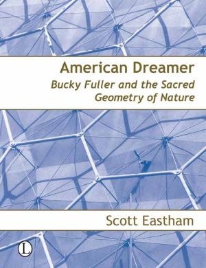 Cover of the book American Dreamer by Geoff Broughton