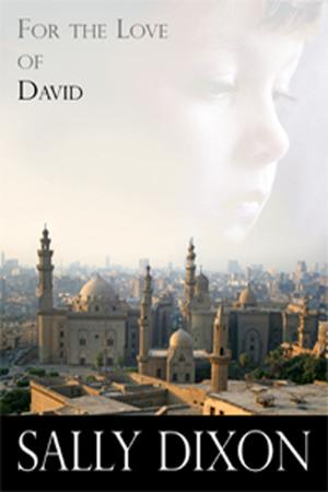 Cover of the book For the Love of David by Louise Titchener