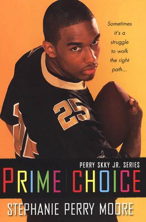 Cover of the book Prime Choice (Perry Skky Jr. Series 1) by Amir Abrams