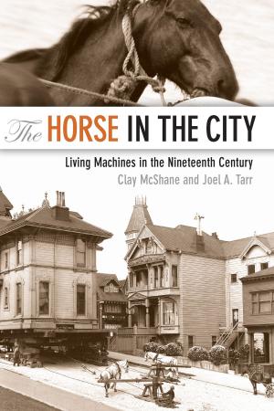 Cover of the book The Horse in the City by John R. van Van Atta