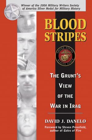Cover of the book Blood Stripes by Dick Talleur
