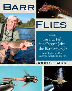 Book cover of Barr Flies