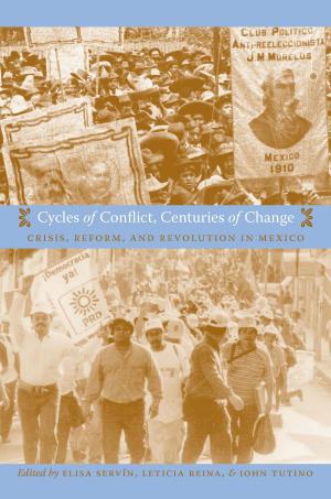 bigCover of the book Cycles of Conflict, Centuries of Change by 