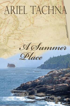 Cover of the book A Summer Place by Deborah Ann Davis