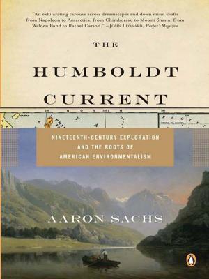 Cover of the book The Humboldt Current by Robert L. Kane, Dr.