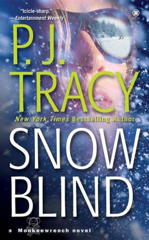 Cover of the book Snow Blind by Liam Callanan