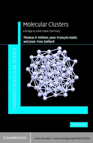 Cover of the book Molecular Clusters by Clare Anderson, Madhumita Mazumdar, Vishvajit Pandya