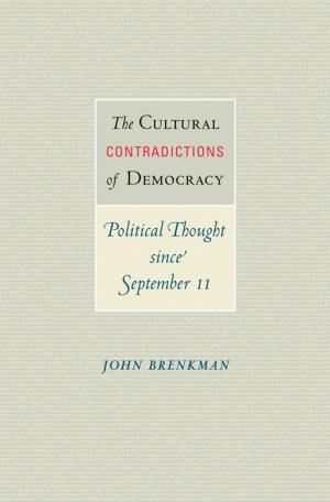 Book cover of The Cultural Contradictions of Democracy