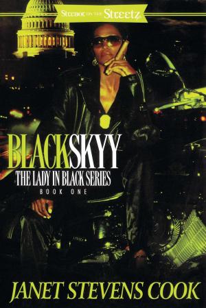 Cover of the book Black Skyy by L. E. Newell