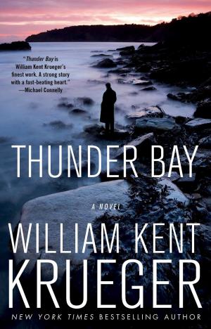 Cover of the book Thunder Bay by helen phifer