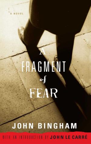 Cover of the book A Fragment of Fear by James Burke