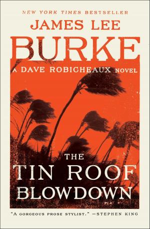 Cover of the book The Tin Roof Blowdown by Nelson DeMille, Alex DeMille