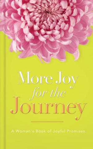 Cover of the book More Joy for the Journey by Ruth Bell Graham