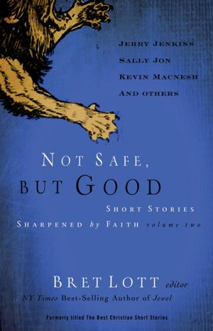 Cover of the book Not Safe, but Good (vol 2) by Krista McGee